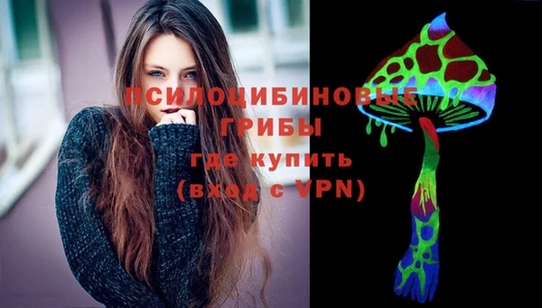 молекула духа Бронницы